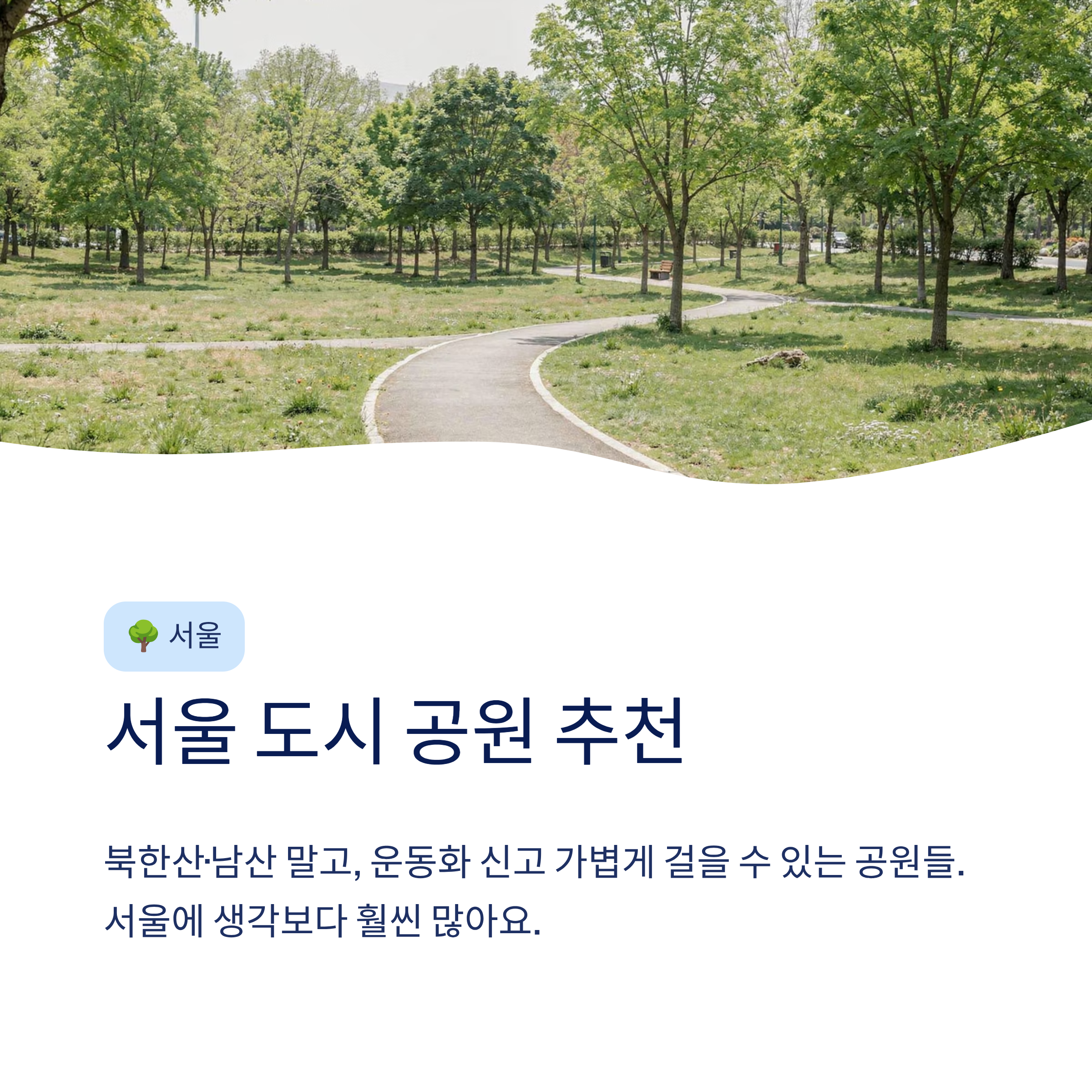 산책하기 좋은 도시 공원 전국 추천 — 진짜 걸어본 사람만 아는 숨은 명소들
