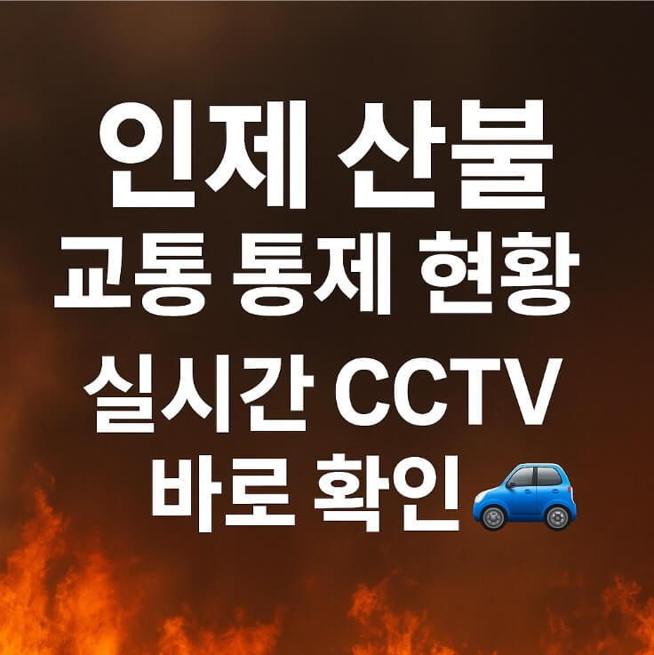 인제산불교통현황