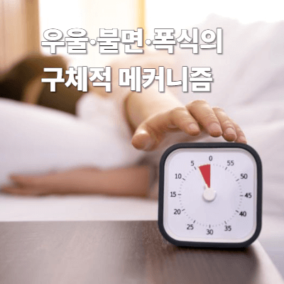 우울&middot;불면&middot;폭식의 구체적 메커니즘