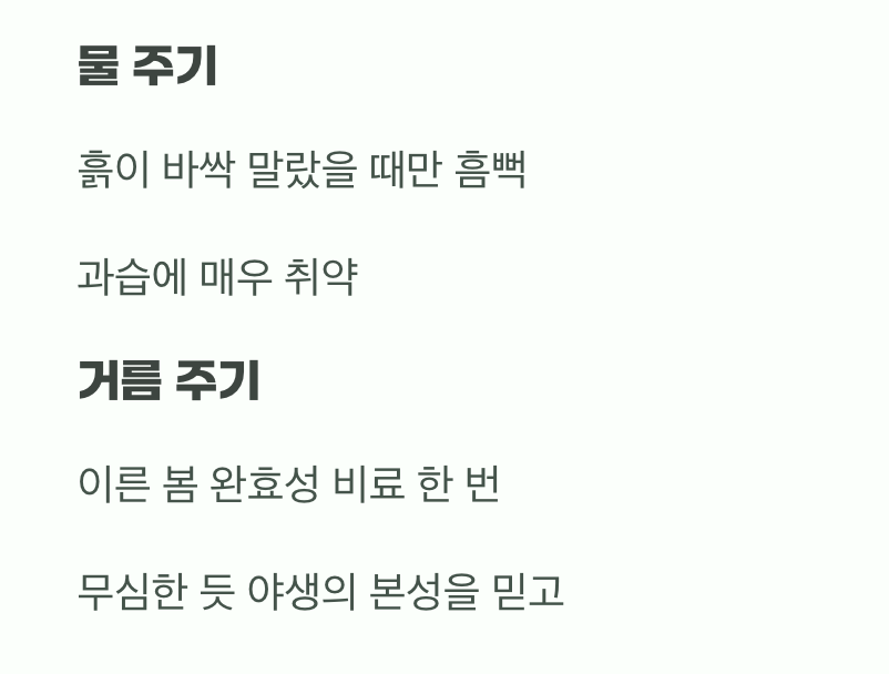 비결 2. 과한 사랑은 금물, '물'과 '거름'