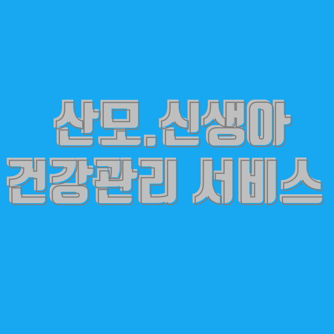 산모·신생아 건강관리 서비스