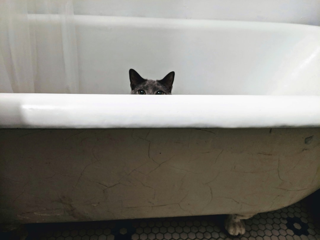 Inspection.