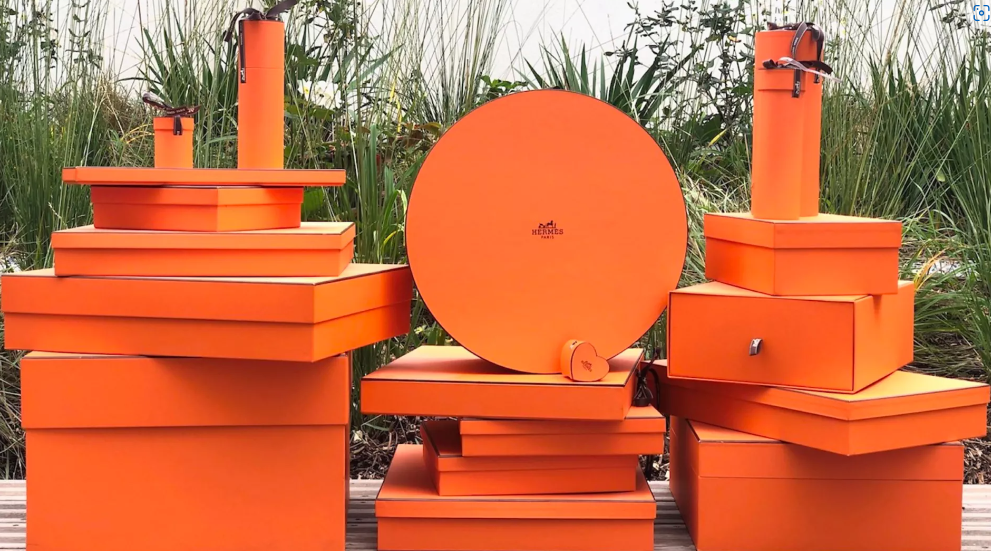 마구간에서 -스케이트-보드까지