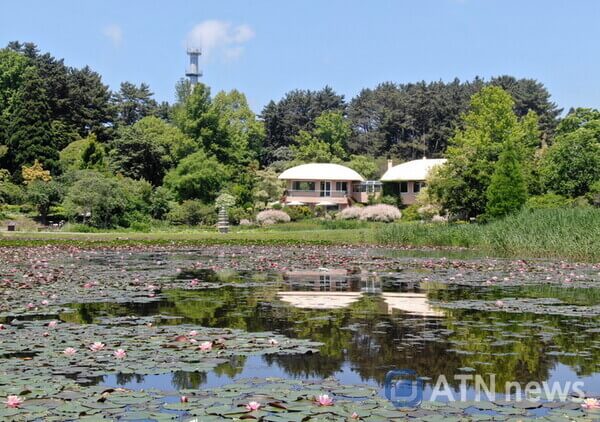 2025 천리포수목원 목련축제 입장료 사전예약