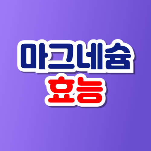 마그네슘 효능