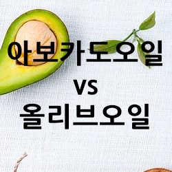 아보카도