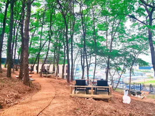 김포 라데아 카페: 깔끔한 감성과 야외 숲 정원의 편안함