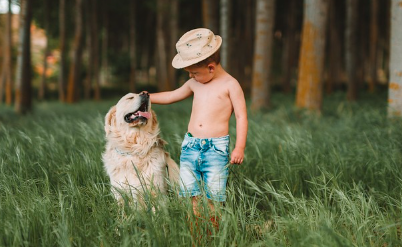 푸른 들판에서 어린아이와 함께 교감하는 개, 개와 인간의 특별한 관계를 나타내는 장면