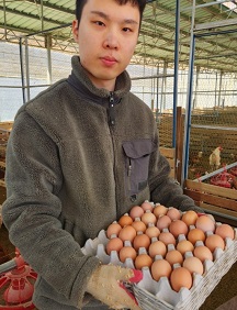달걀달인