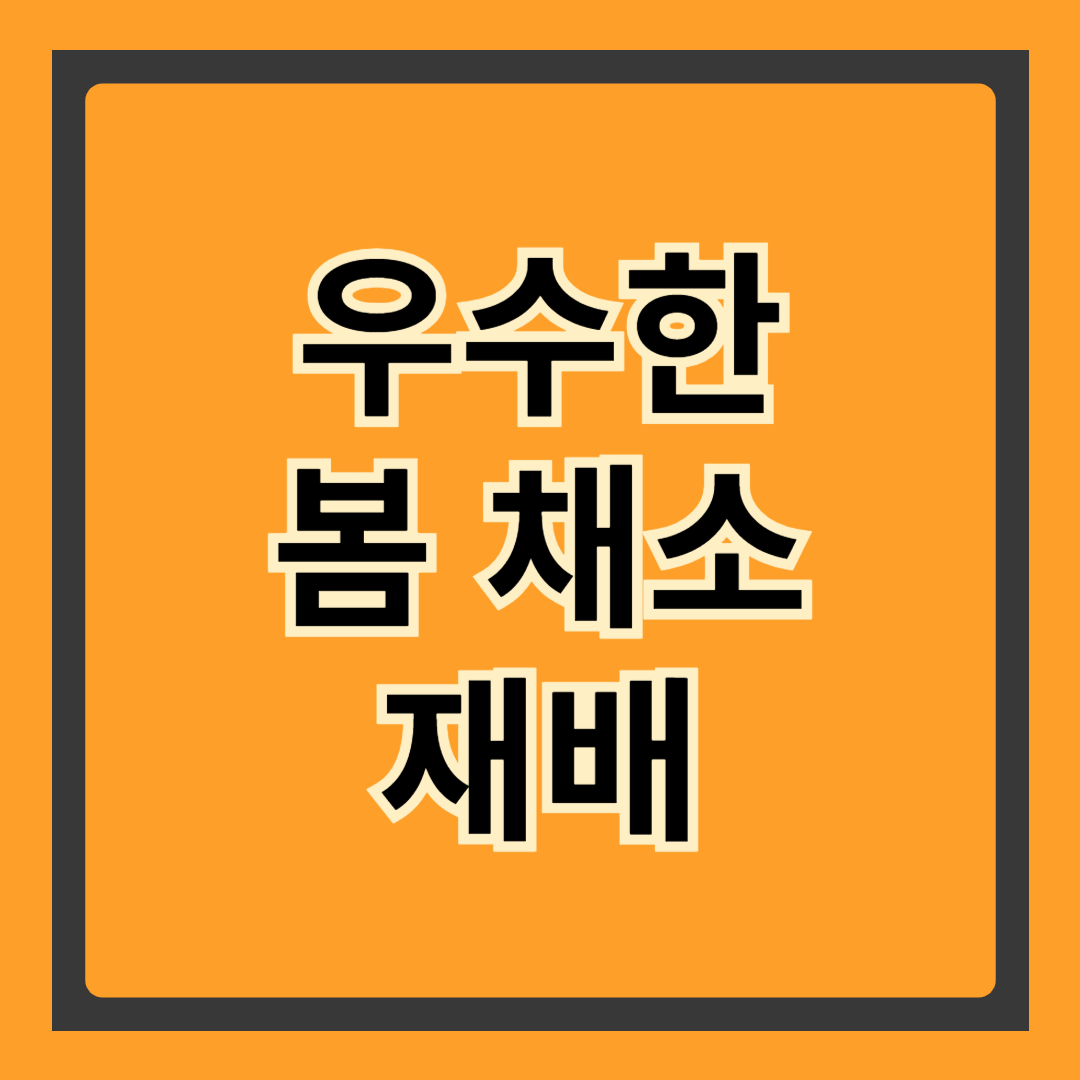 우수한 봄 채소 재배 방법