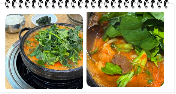 전현무계획2 통영 40년전통 곱창전골 양구이 대창구이 후기