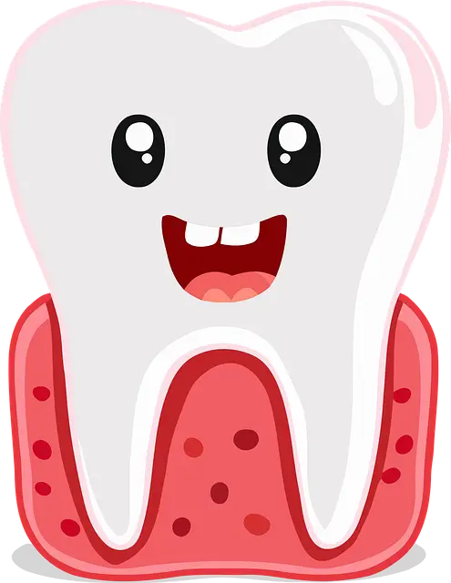 65세 이상 임플란트 지원금 혜택