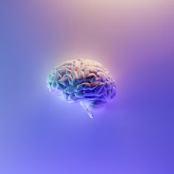 수면 부족이 우리 몸에 미치는 영향 경고 증상 치매