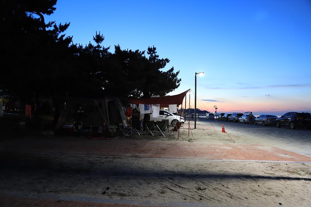 솔향기캠핑장

주소 강원 강릉시 연곡면 해안로 1282-10