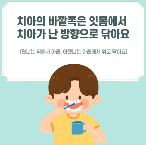 올바른 양치질 방법