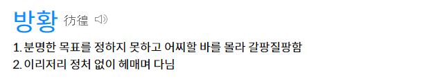 다음 사전 캡처