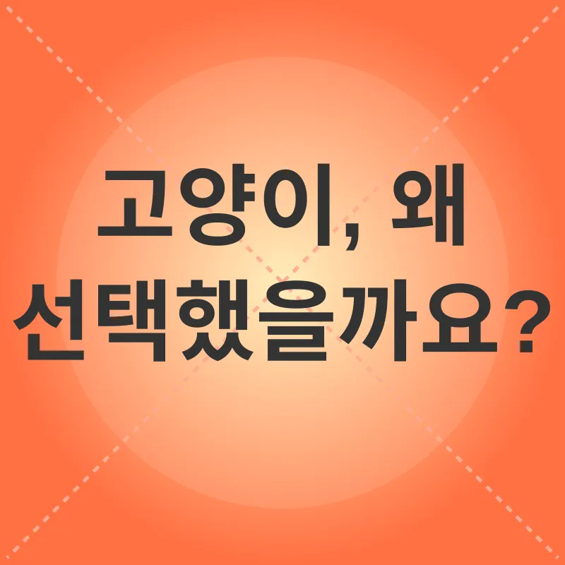 반려묘 입양_1