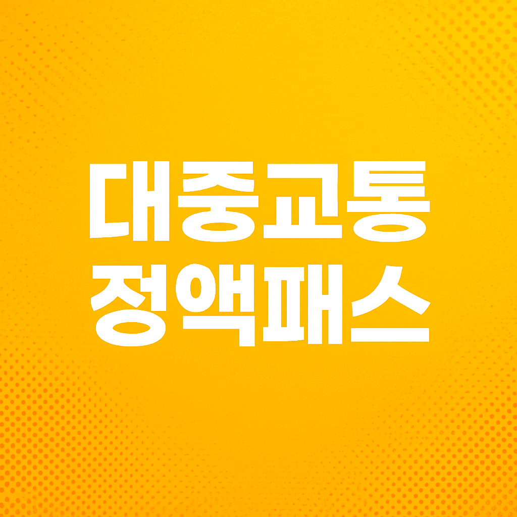 대중교통 정액패스