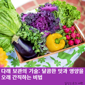 썸네일 사진