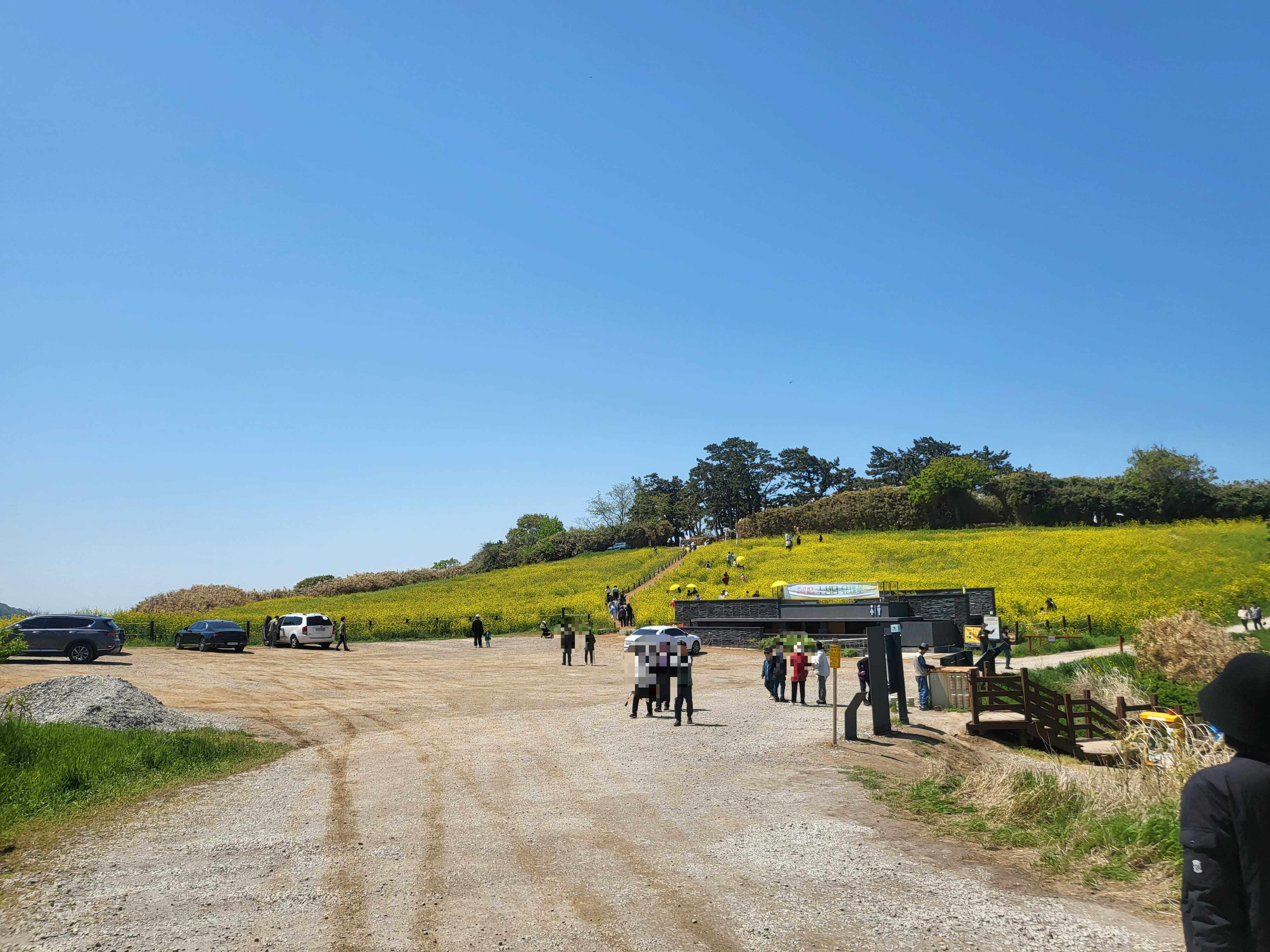 전라도 부안 여행 유채꽃 수성당