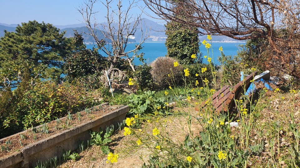 한국기행 거제 지심도 민박 펜션