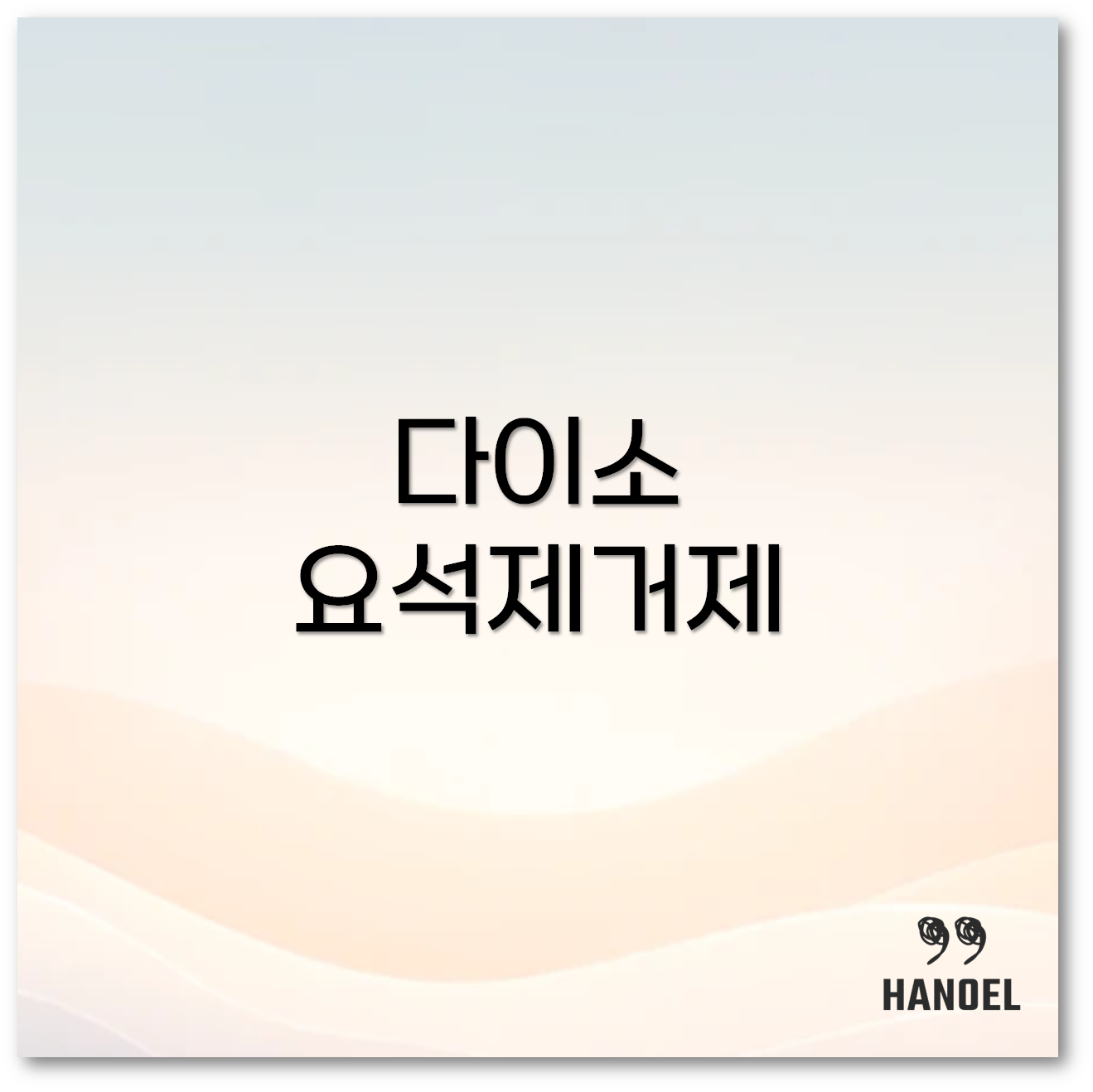 다이소 요석제거제