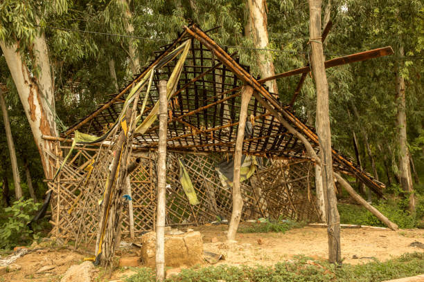 자연재만으로 한 시간 만에 쉼터 완성하기