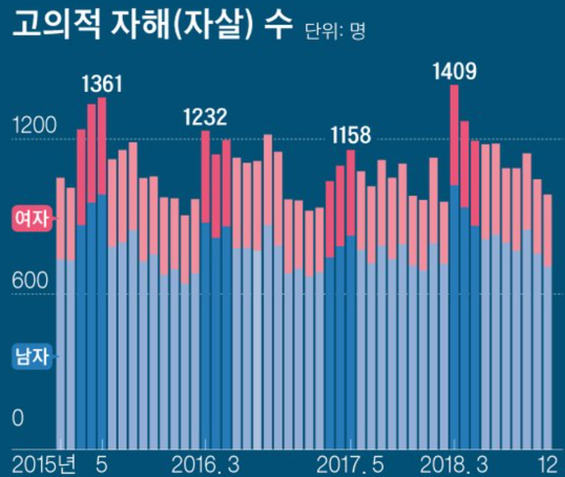 자살률 그래프 사진