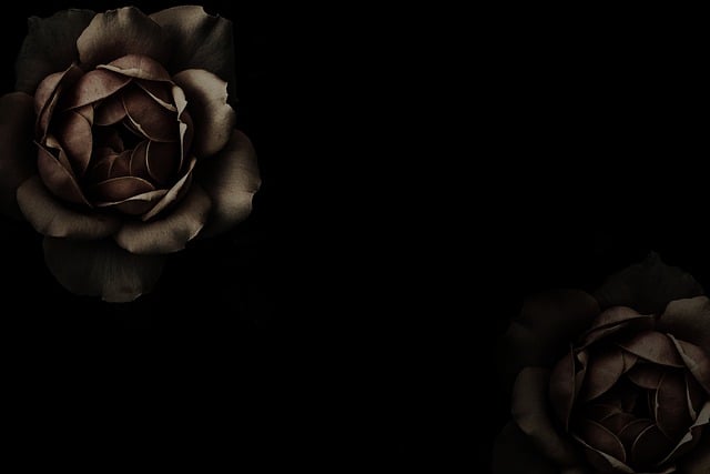 한강 소년이 온다 줄거리 의미 해석 ✅