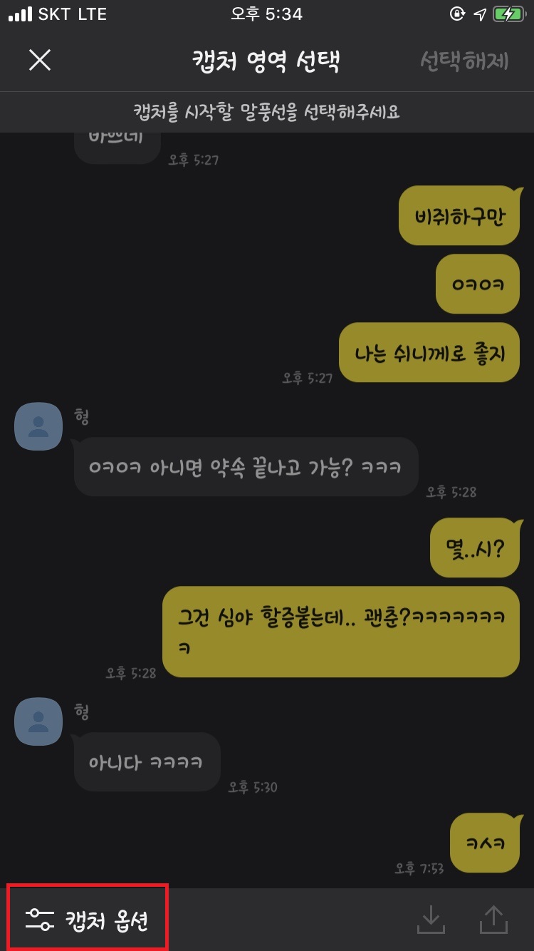 카카오톡 캡처옵션