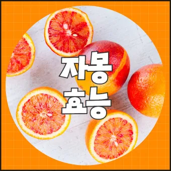 자몽 효능과 건강 효과_16