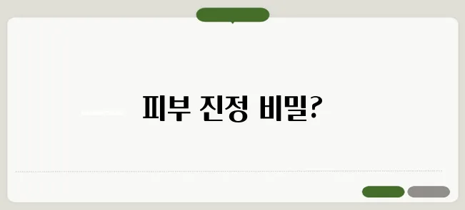 라벤다 크림 효능 한번 정확하게 알아보도록 하죠