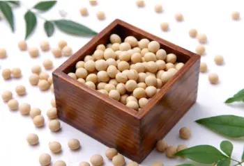 메주콩 가격 및 효능&amp;#44; 영양소&amp;#44; 영양성분