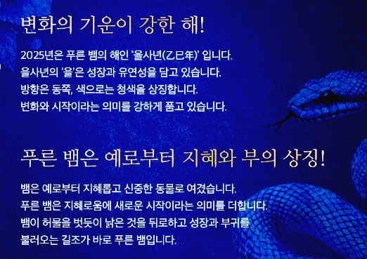 2025년 을사년 양력 음력 달력