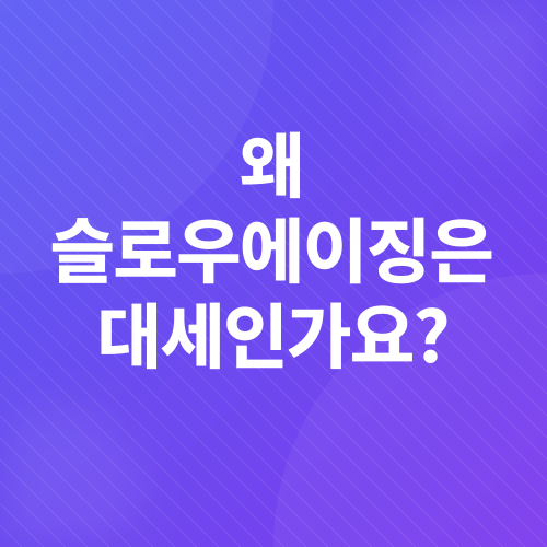 슬로우에이징_2