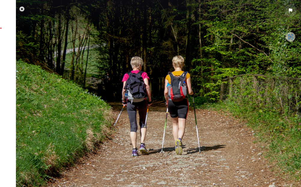 도심 속 숨겨진 숲길, 그 여유로움에 빠지다