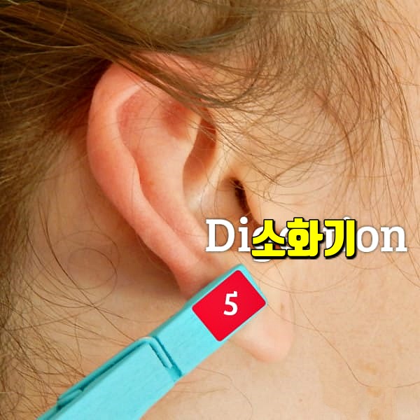 귀 지압점,피로에 좋은 지압법,팁줌
