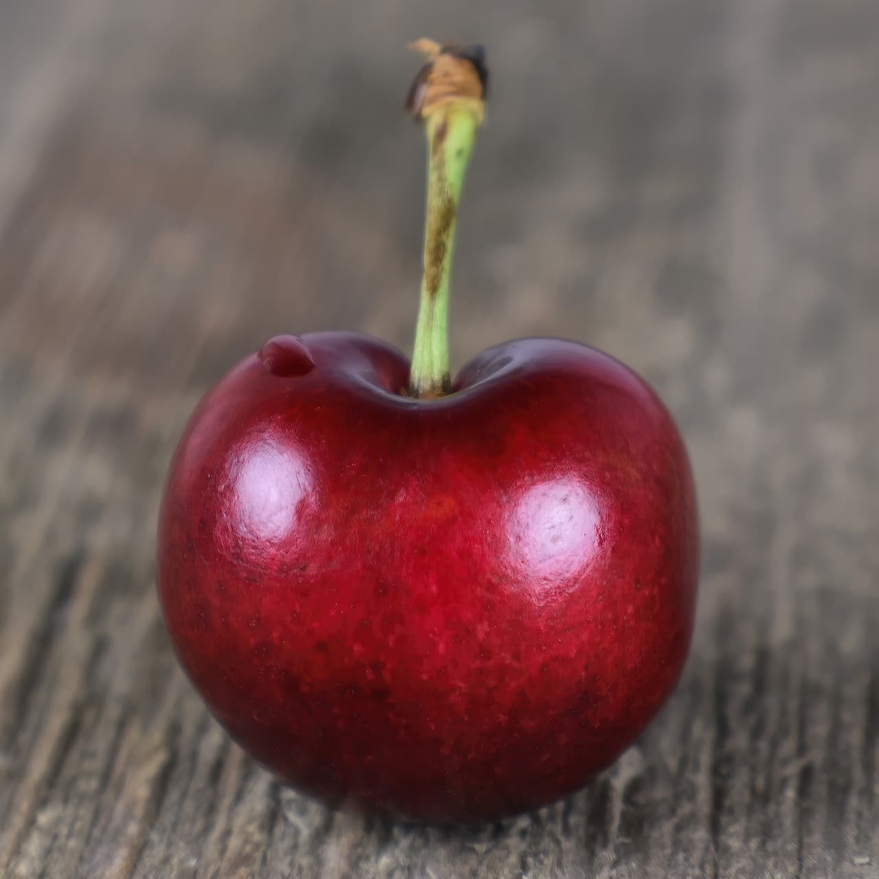 식물성 멜라토닌 효능&amp;#44; 복용법&amp;#44; 추천 TOP 5