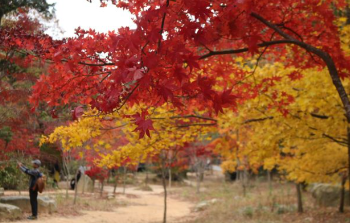 2025 두륜산 단풍 절정 시기 공개! 가을 인기 등산코스 best 3