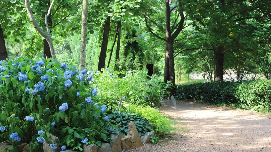 당진 삼선산수목원 나들이 가이드|입장료, 산책로, 가족 여행 꿀팁까지!
