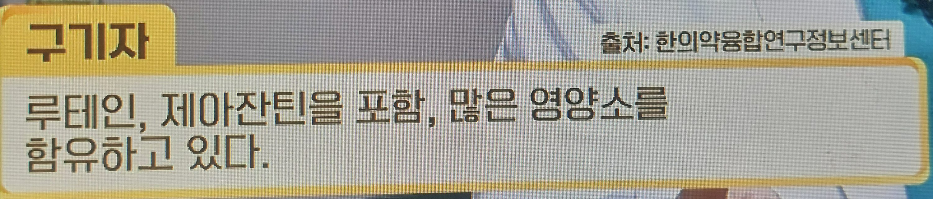 구기자