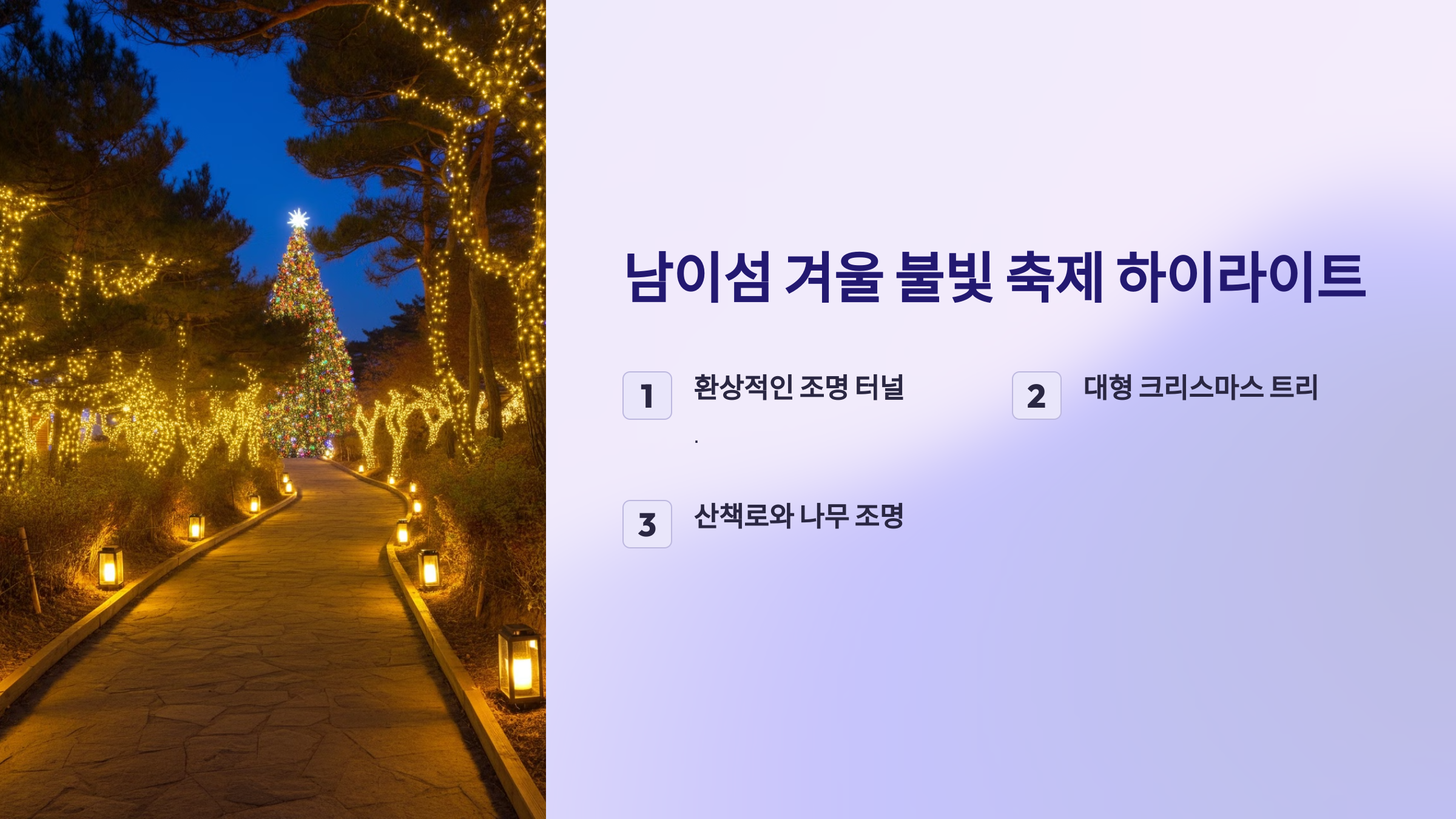 남이섬 겨울 불빛 축제 🌟 놓치면 아쉬운 연말 명소!