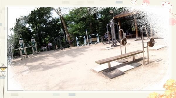 북악스카이웨이 산책로 완벽 가이드: 초보자도 쉽게 따라하는 코스