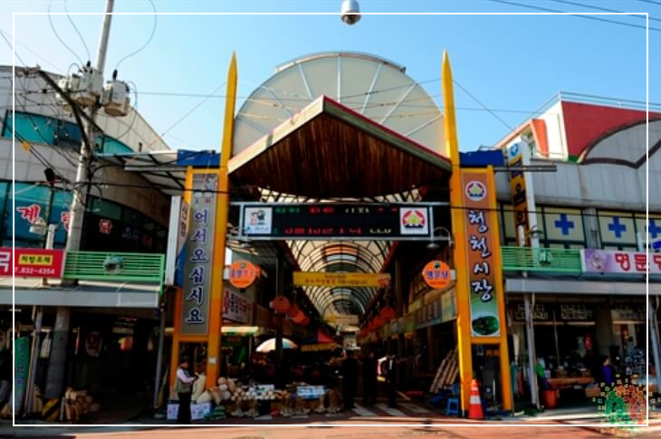 괴산 가볼만한곳 베스트10 청천시장 오일장 (5일&amp;#44; 10일)