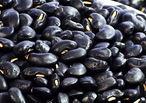 검은 콩