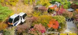 화담숲 모노레일 도보 코스 완벽 가이드