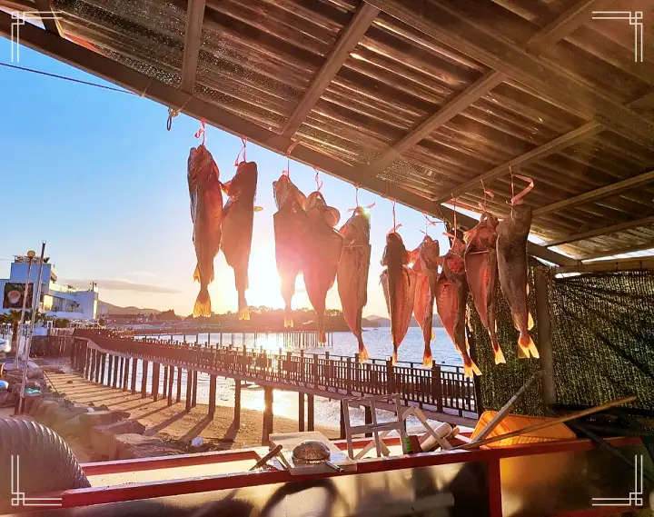 대구 요리 한상 오션뷰 횟집 맛집 해금강 제트보트 일출 명소 여행 가볼만한 곳 추천 생방송투데이 거제 보고 먹고 즐기고 3GO