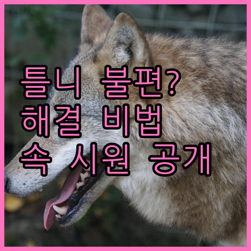 틀니, 불편함 없이 편안하게 사용하는