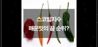 매운 라면 스코빌 지수 비교 신라면 열라면 불닭_22