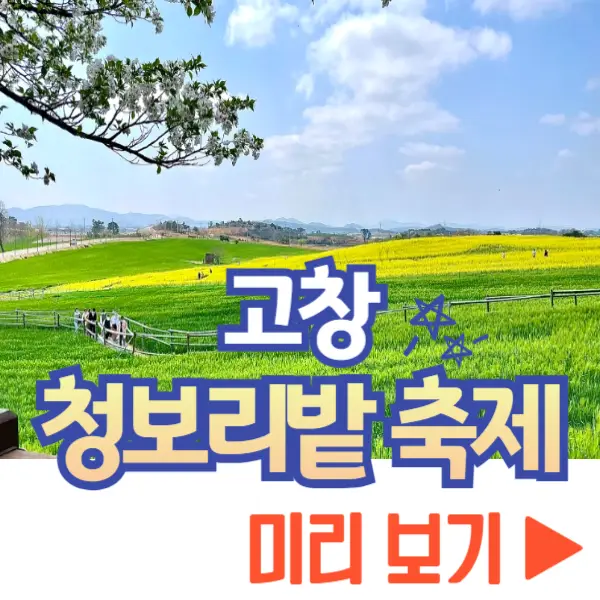 고창 청보리밭 축제